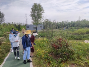 EE5DF502D407B66293241C88B0BA7BBB