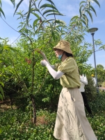 17737EEFFE737612BB4DF6CF99D9407F