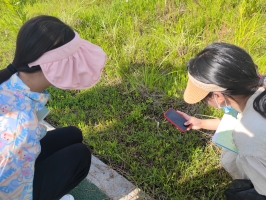 88B0FA814FC26C9B88F544376029025F